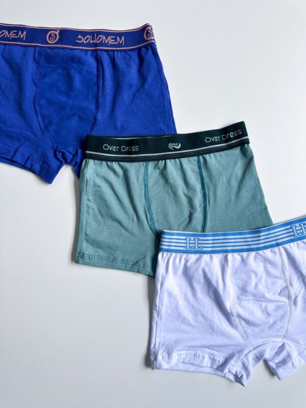 CUECA BOX ADULTO - Imagem 4